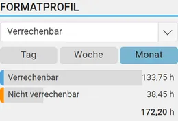 Formatprofil Verrechenbar: verrechenbare und nicht verrechenbare Stunden im Monat