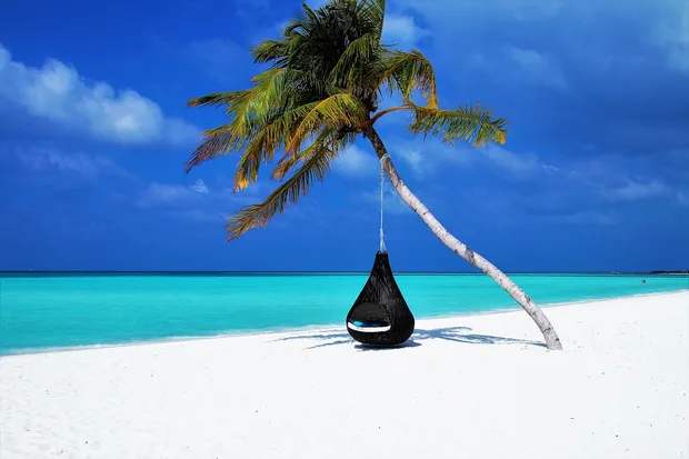 "Higher Mathematics" of Paid Time Off
