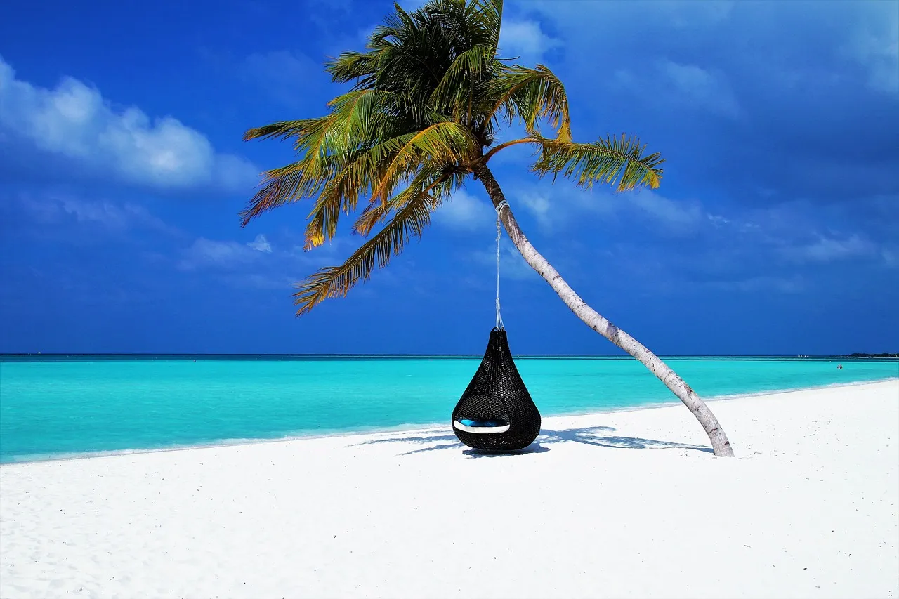 "Higher Mathematics" of Paid Time Off